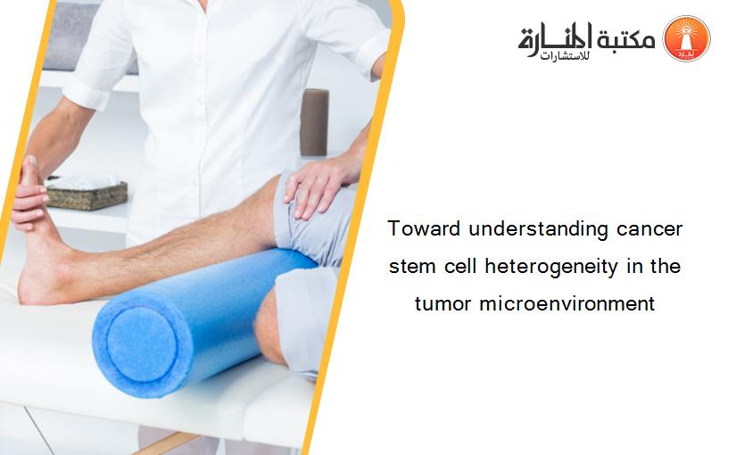 Toward understanding cancer stem cell heterogeneity in the tumor microenvironment