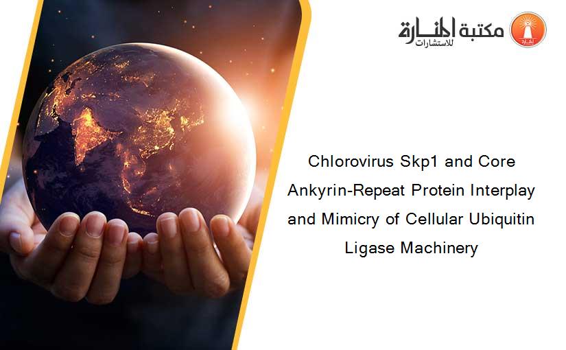 Chlorovirus Skp1 and Core Ankyrin-Repeat Protein Interplay and Mimicry of Cellular Ubiquitin Ligase Machinery