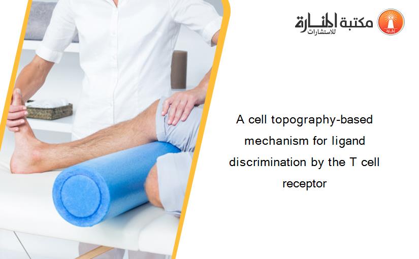 A cell topography-based mechanism for ligand discrimination by the T cell receptor