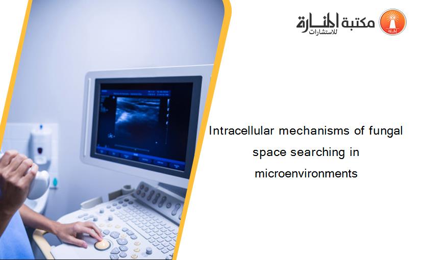 Intracellular mechanisms of fungal space searching in microenvironments