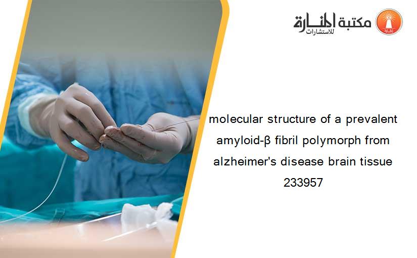 molecular structure of a prevalent amyloid-β fibril polymorph from alzheimer's disease brain tissue 233957