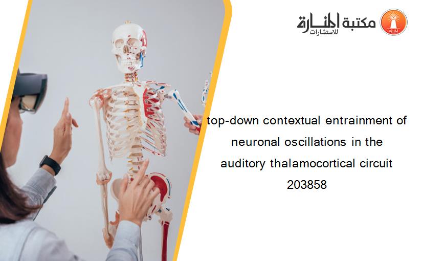 top-down contextual entrainment of neuronal oscillations in the auditory thalamocortical circuit 203858