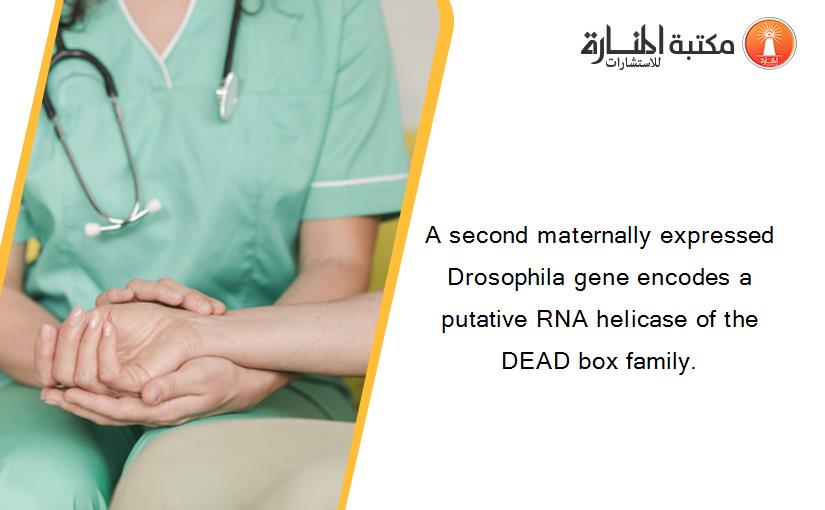 A second maternally expressed Drosophila gene encodes a putative RNA helicase of the DEAD box family.