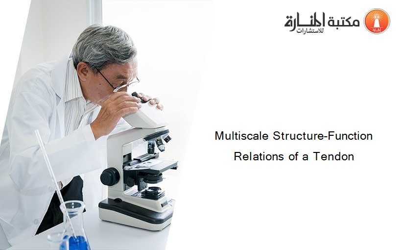 Multiscale Structure-Function Relations of a Tendon