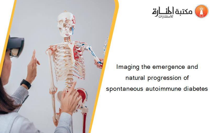 Imaging the emergence and natural progression of spontaneous autoimmune diabetes
