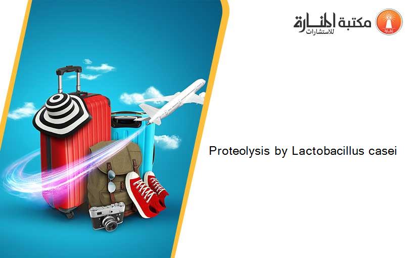 Proteolysis by Lactobacillus casei