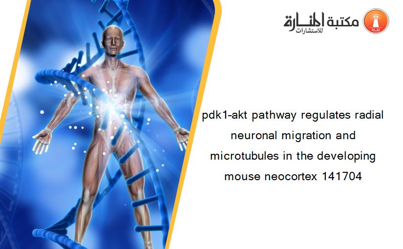 pdk1–akt pathway regulates radial neuronal migration and microtubules in the developing mouse neocortex 141704