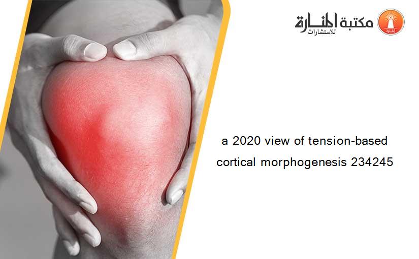 a 2020 view of tension-based cortical morphogenesis 234245