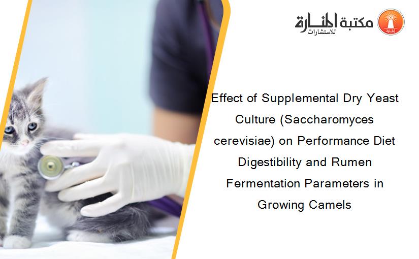 Effect of Supplemental Dry Yeast Culture (Saccharomyces cerevisiae) on Performance Diet Digestibility and Rumen Fermentation Parameters in Growing Camels