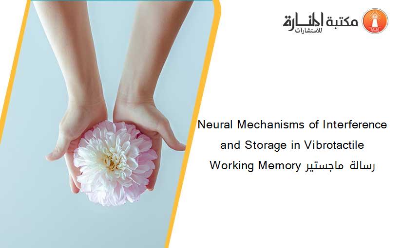 Neural Mechanisms of Interference and Storage in Vibrotactile Working Memory رسالة ماجستير