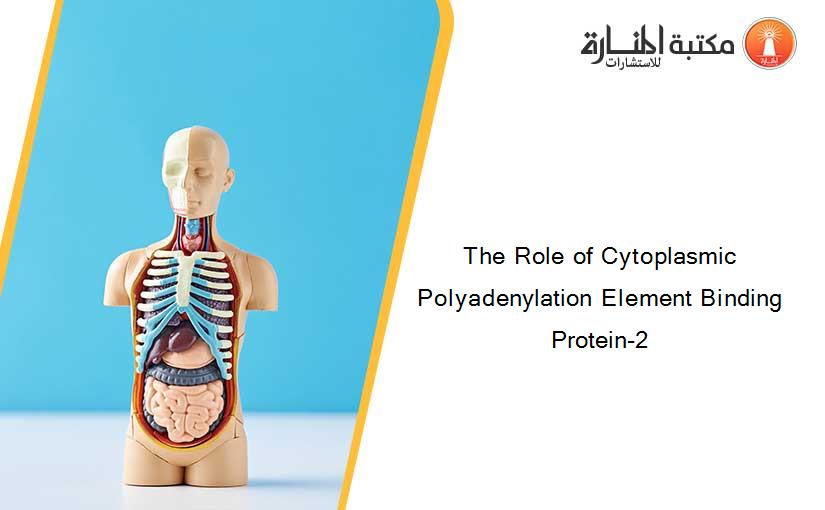 The Role of Cytoplasmic Polyadenylation Element Binding Protein-2