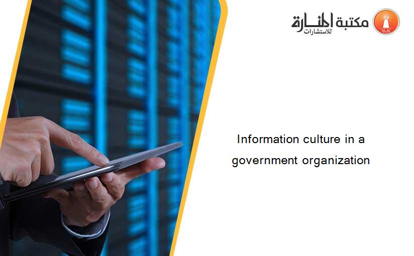 Information culture in a government organization