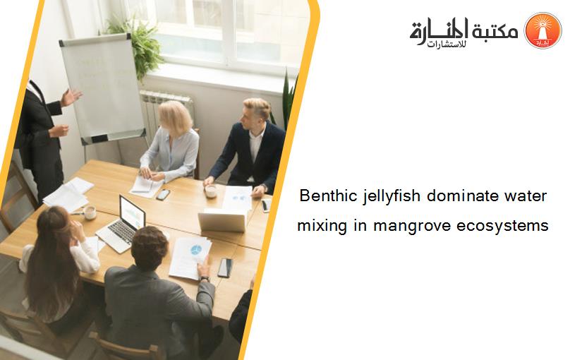 Benthic jellyfish dominate water mixing in mangrove ecosystems