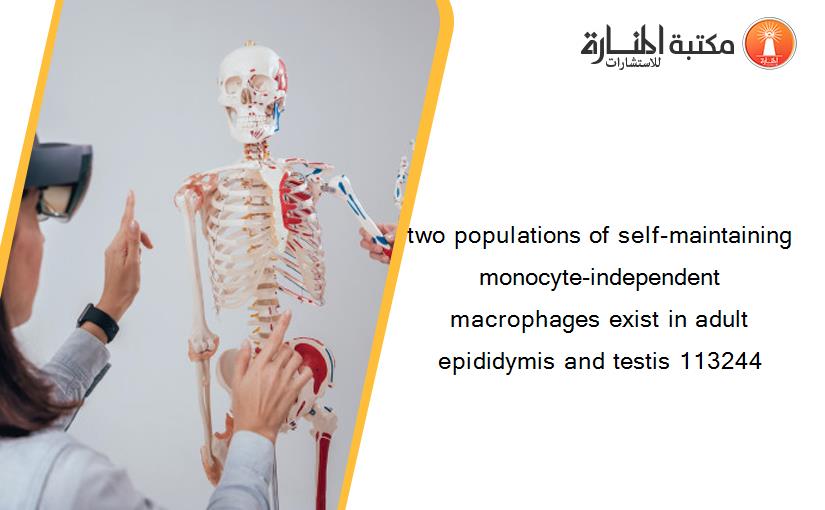 two populations of self-maintaining monocyte-independent macrophages exist in adult epididymis and testis 113244