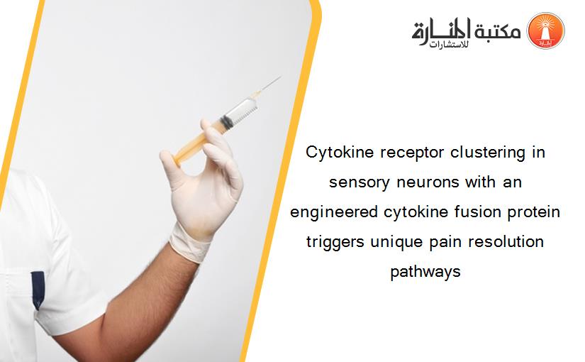 Cytokine receptor clustering in sensory neurons with an engineered cytokine fusion protein triggers unique pain resolution pathways