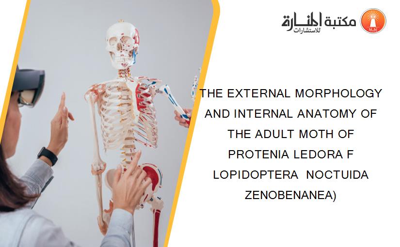THE EXTERNAL MORPHOLOGY AND INTERNAL ANATOMY OF THE ADULT MOTH OF PROTENIA LEDORA F LOPIDOPTERA  NOCTUIDA  ZENOBENANEA)