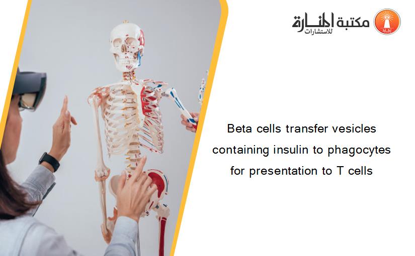 Beta cells transfer vesicles containing insulin to phagocytes for presentation to T cells