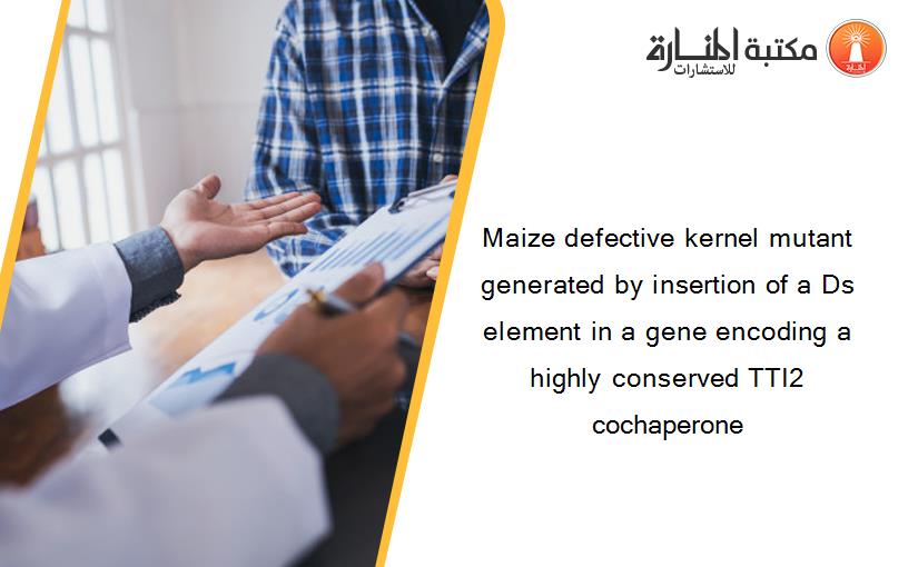 Maize defective kernel mutant generated by insertion of a Ds element in a gene encoding a highly conserved TTI2 cochaperone