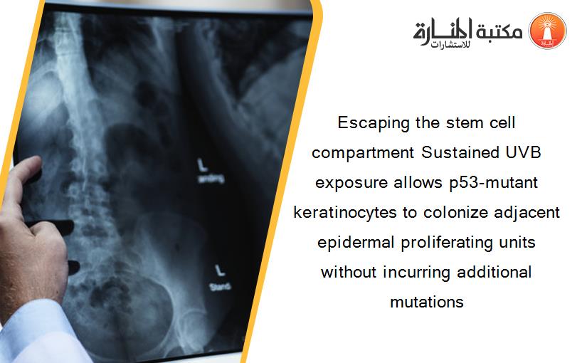 Escaping the stem cell compartment Sustained UVB exposure allows p53-mutant keratinocytes to colonize adjacent epidermal proliferating units without incurring additional mutations