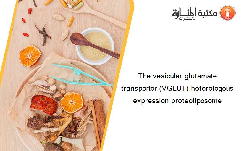The vesicular glutamate transporter (VGLUT) heterologous expression proteoliposome
