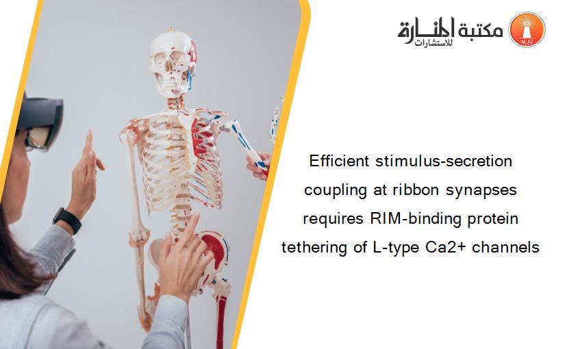 Efficient stimulus-secretion coupling at ribbon synapses requires RIM-binding protein tethering of L-type Ca2+ channels