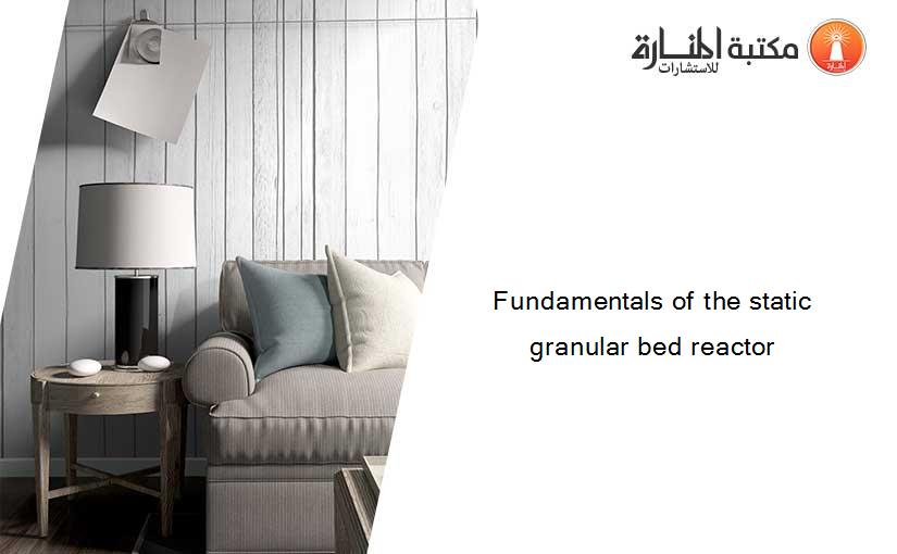 Fundamentals of the static granular bed reactor