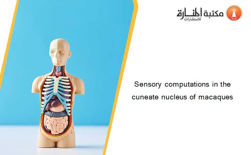 Sensory computations in the cuneate nucleus of macaques