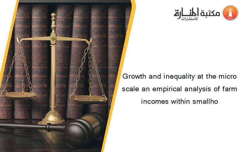 Growth and inequality at the micro scale an empirical analysis of farm incomes within smallho