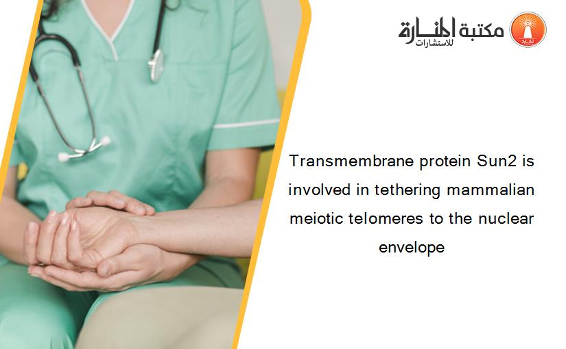 Transmembrane protein Sun2 is involved in tethering mammalian meiotic telomeres to the nuclear envelope