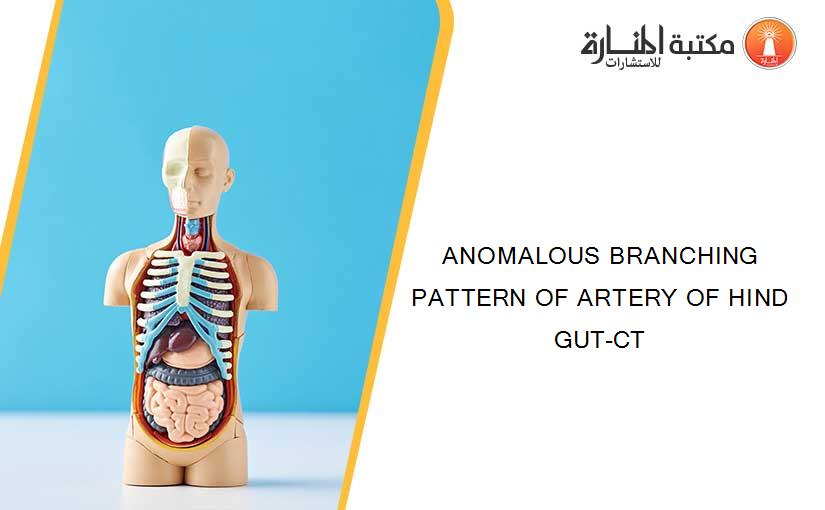 ANOMALOUS BRANCHING PATTERN OF ARTERY OF HIND GUT-CT