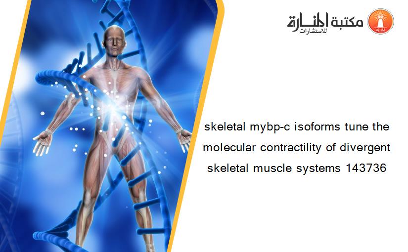 skeletal mybp-c isoforms tune the molecular contractility of divergent skeletal muscle systems 143736