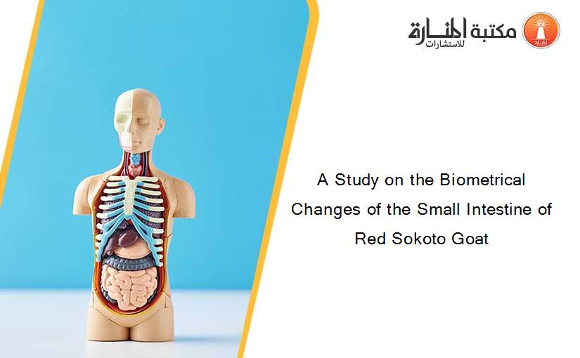 A Study on the Biometrical Changes of the Small Intestine of Red Sokoto Goat