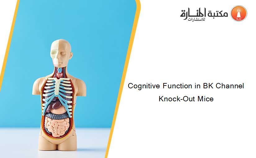 Cognitive Function in BK Channel Knock-Out Mice