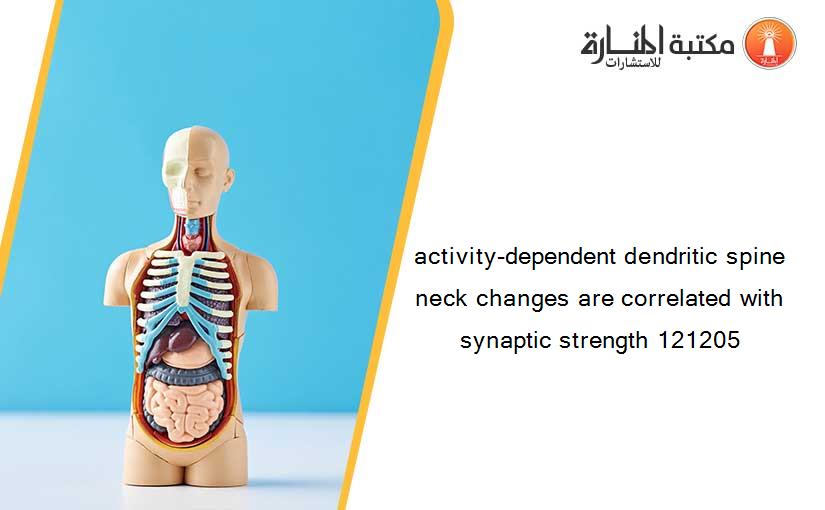 activity-dependent dendritic spine neck changes are correlated with synaptic strength 121205