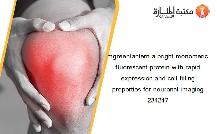 mgreenlantern a bright monomeric fluorescent protein with rapid expression and cell filling properties for neuronal imaging 234247