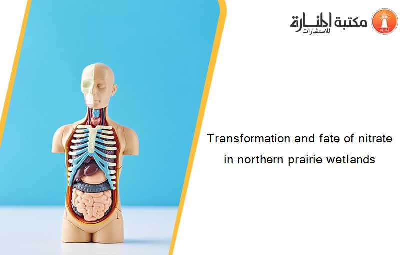 Transformation and fate of nitrate in northern prairie wetlands