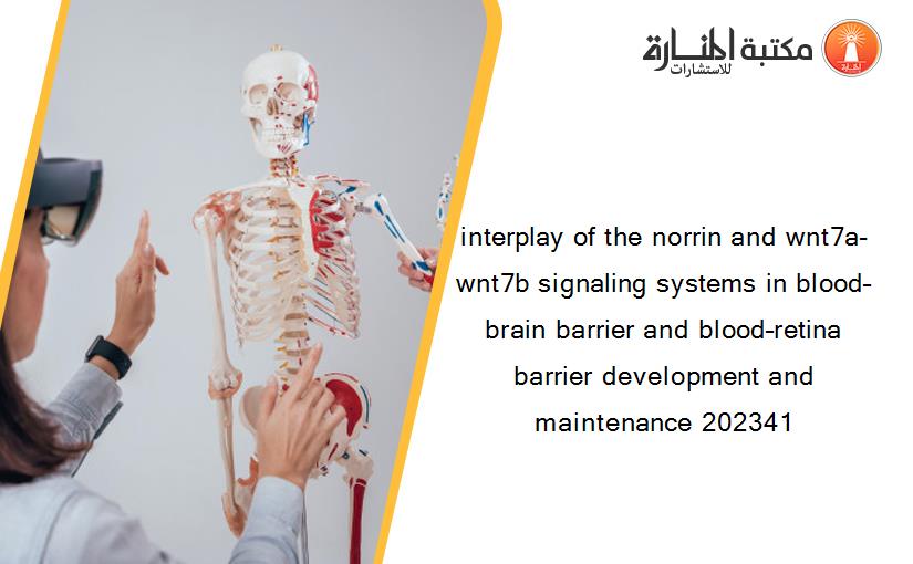interplay of the norrin and wnt7a-wnt7b signaling systems in blood–brain barrier and blood–retina barrier development and maintenance 202341