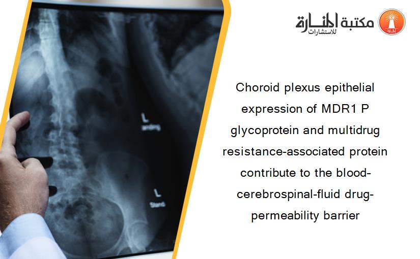 Choroid plexus epithelial expression of MDR1 P glycoprotein and multidrug resistance-associated protein contribute to the blood–cerebrospinal-fluid drug-permeability barrier