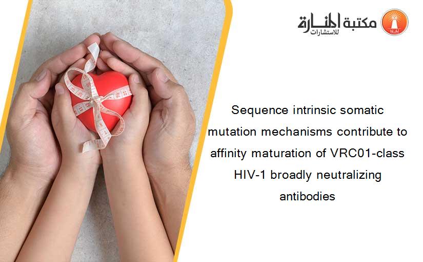 Sequence intrinsic somatic mutation mechanisms contribute to affinity maturation of VRC01-class HIV-1 broadly neutralizing antibodies