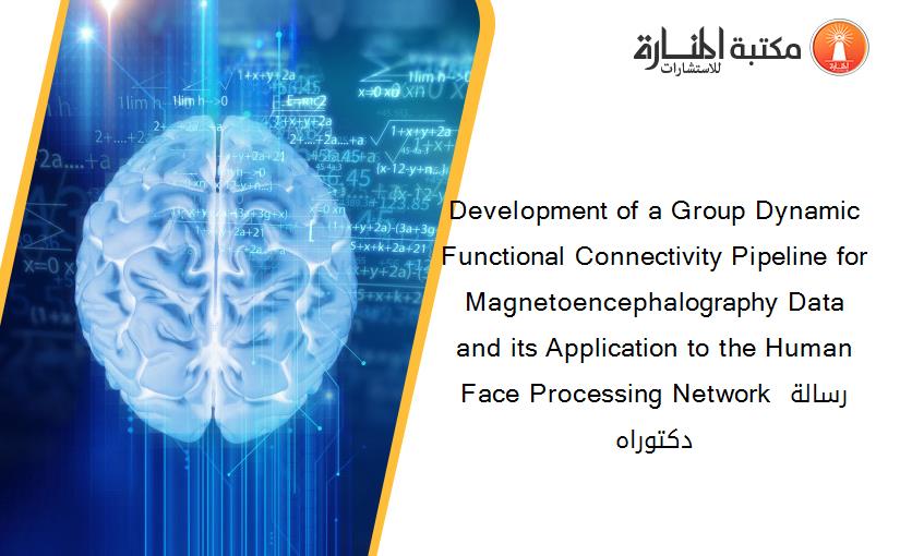 Development of a Group Dynamic Functional Connectivity Pipeline for Magnetoencephalography Data and its Application to the Human Face Processing Network رسالة دكتوراه