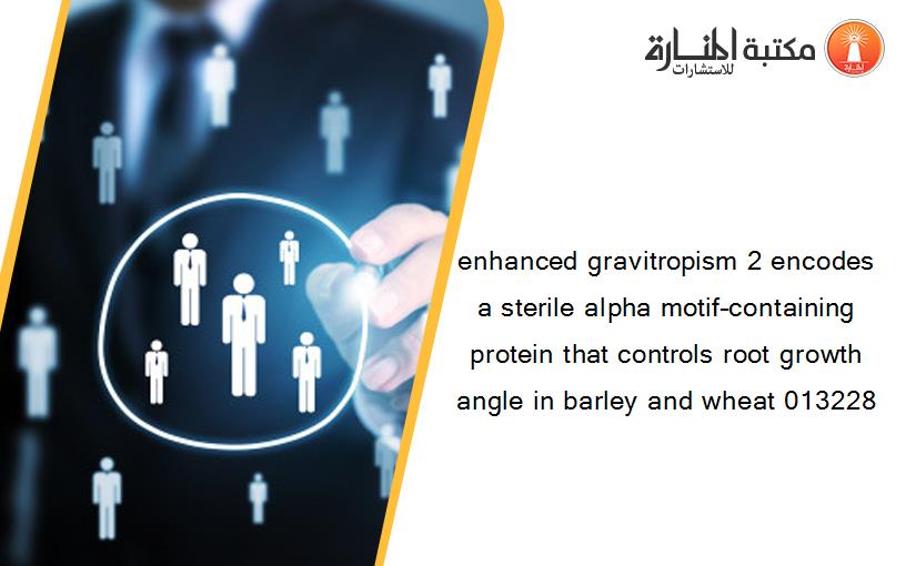 enhanced gravitropism 2 encodes a sterile alpha motif–containing protein that controls root growth angle in barley and wheat 013228