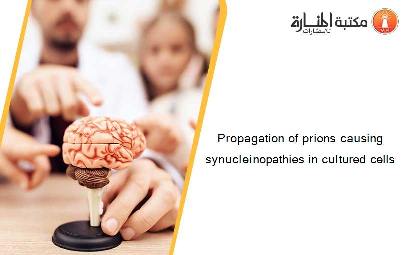 Propagation of prions causing synucleinopathies in cultured cells