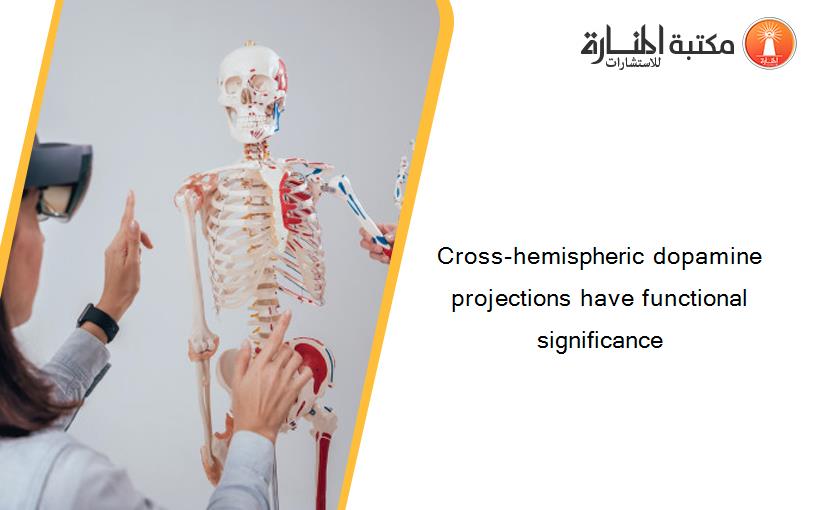 Cross-hemispheric dopamine projections have functional significance