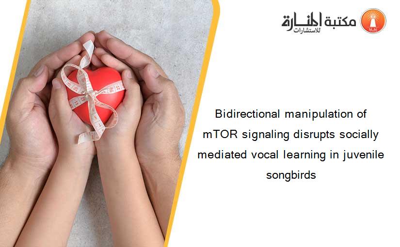 Bidirectional manipulation of mTOR signaling disrupts socially mediated vocal learning in juvenile songbirds