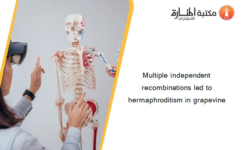 Multiple independent recombinations led to hermaphroditism in grapevine