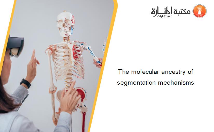 The molecular ancestry of segmentation mechanisms
