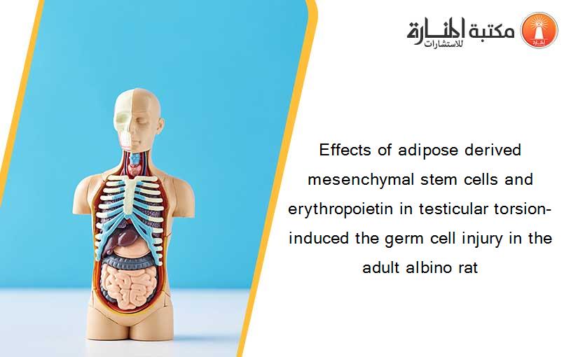 Effects of adipose derived mesenchymal stem cells and erythropoietin in testicular torsion-induced the germ cell injury in the adult albino rat