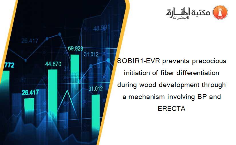 SOBIR1-EVR prevents precocious initiation of fiber differentiation during wood development through a mechanism involving BP and ERECTA