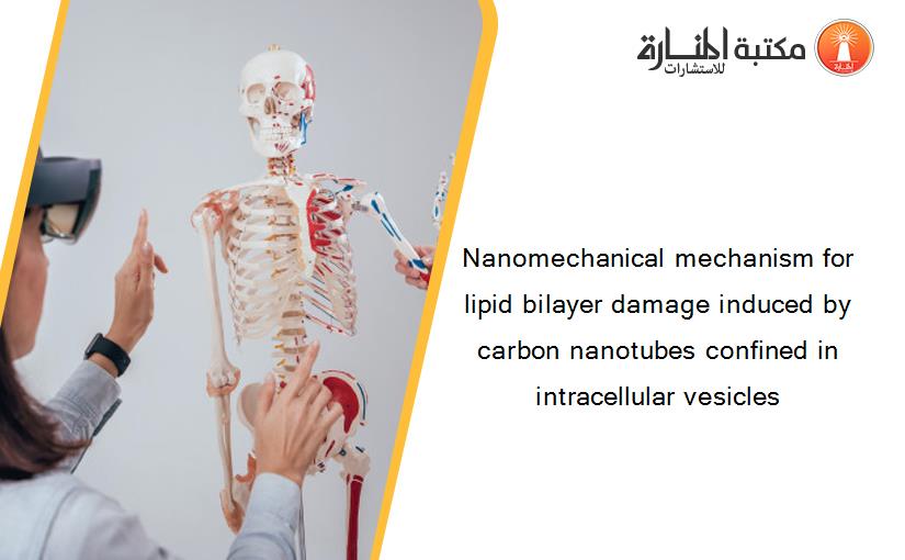 Nanomechanical mechanism for lipid bilayer damage induced by carbon nanotubes confined in intracellular vesicles