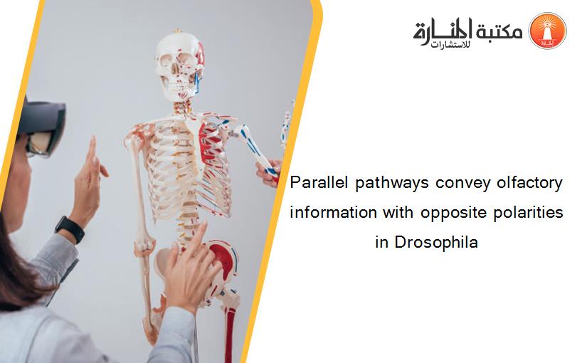 Parallel pathways convey olfactory information with opposite polarities in Drosophila